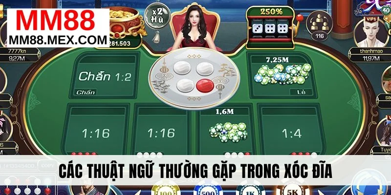 Các thuật ngữ thường gặp trong Xóc đĩa